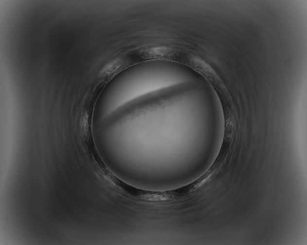 X0000085740765200703231110