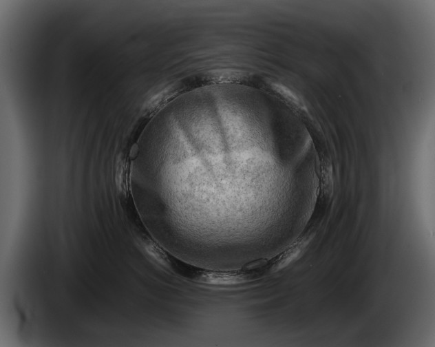 X0000085740766200703231110