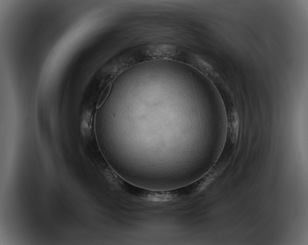 X0000085740767200703231110