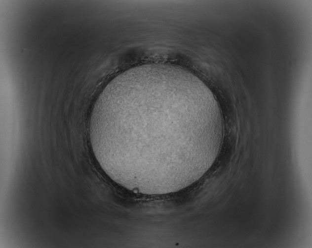 X0000085740769200703231109