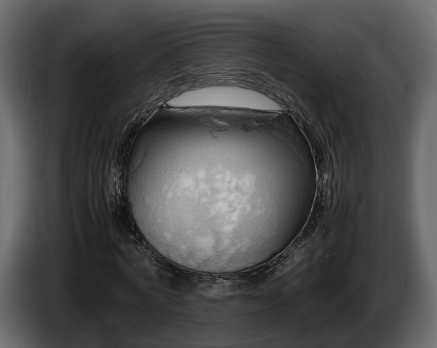 X0000085740772200703231109