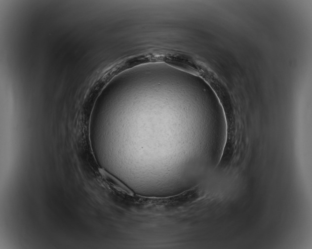 X0000085740773200703231109