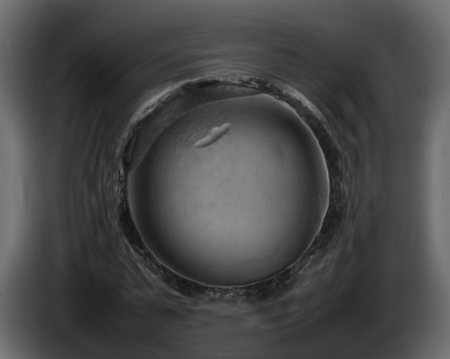 X0000085740775200703231109