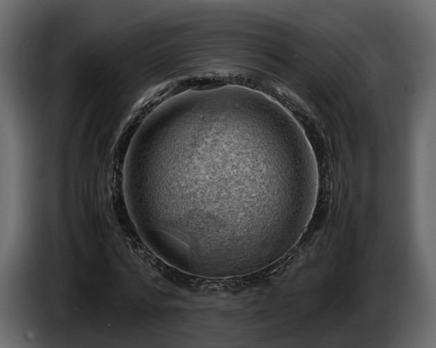 X0000085740776200703231109