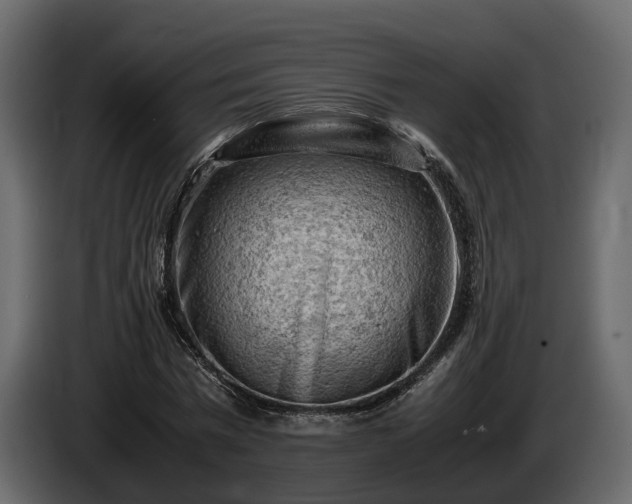 X0000085740777200703231109
