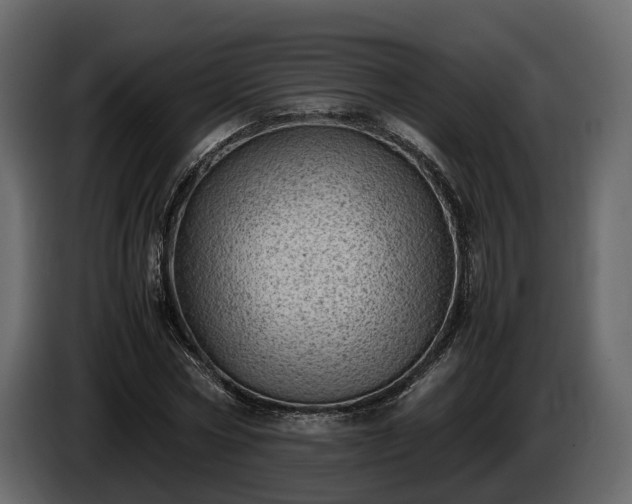 X0000085740778200703231109