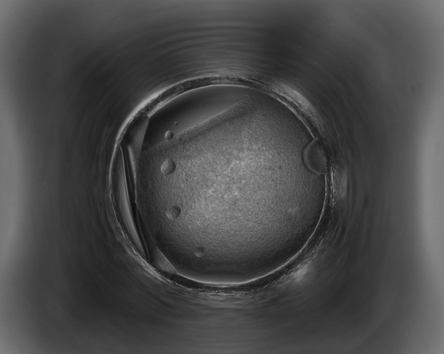 X0000085740780200703231109
