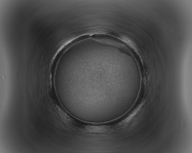 X0000085740781200703231109