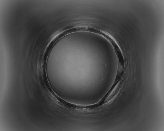 X0000085740783200703231109