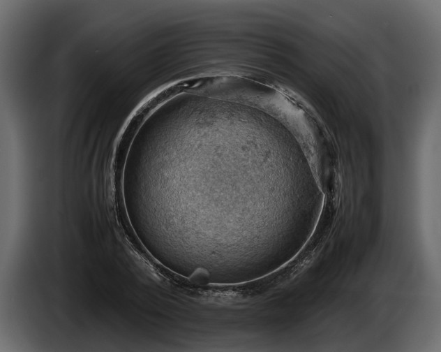 X0000085740784200703231109