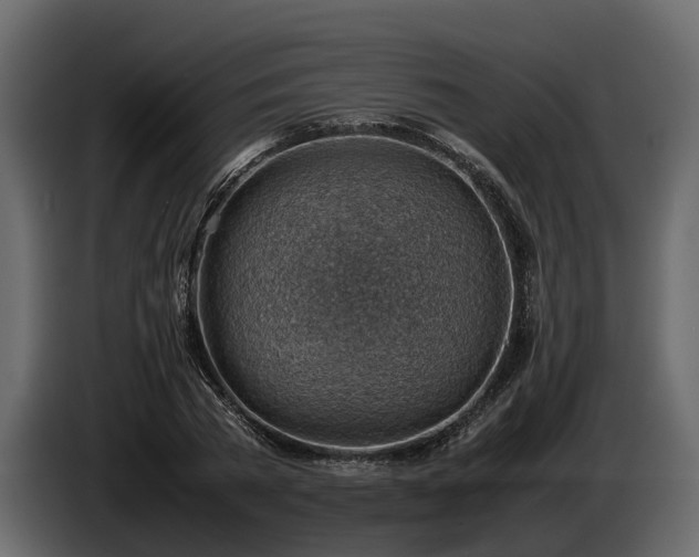 X0000085740785200703231109