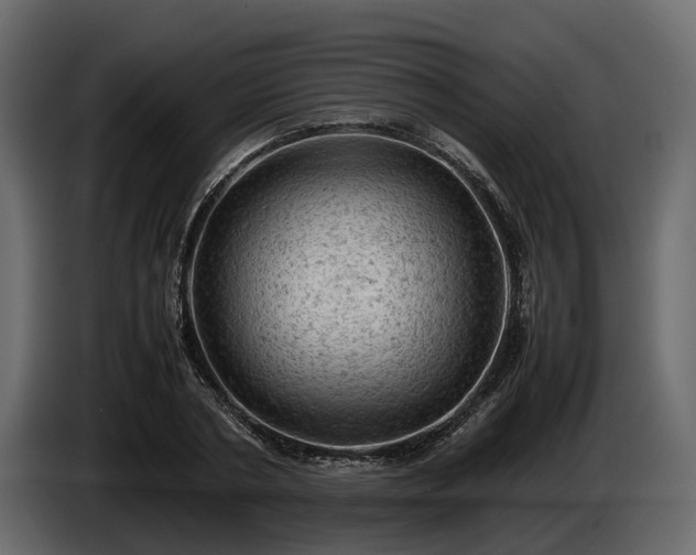 X0000085740786200703231109