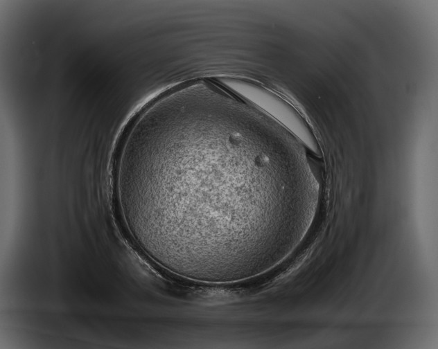 X0000085740787200703231109
