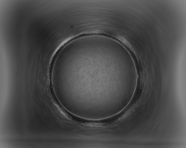 X0000085740789200703231109