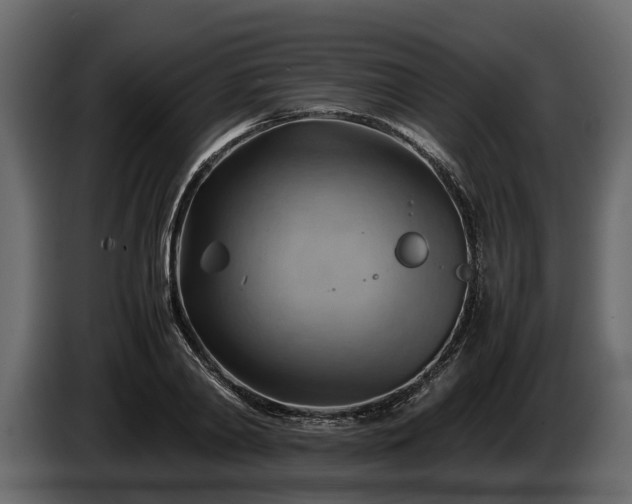 X0000085740790200703231109