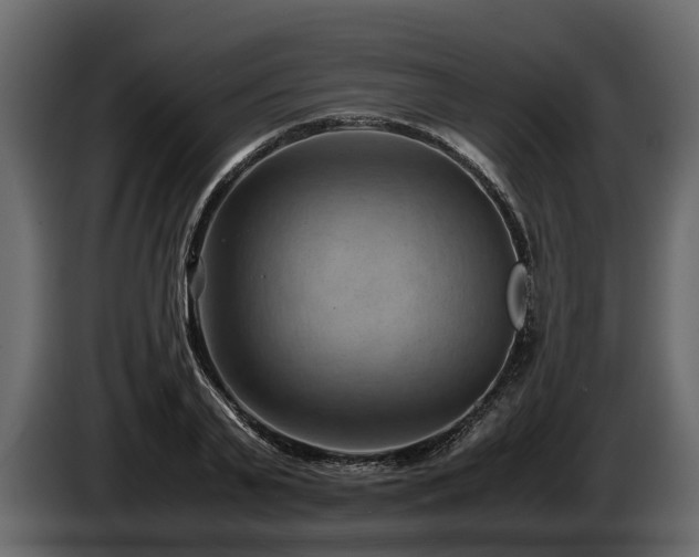 X0000085740791200703231109
