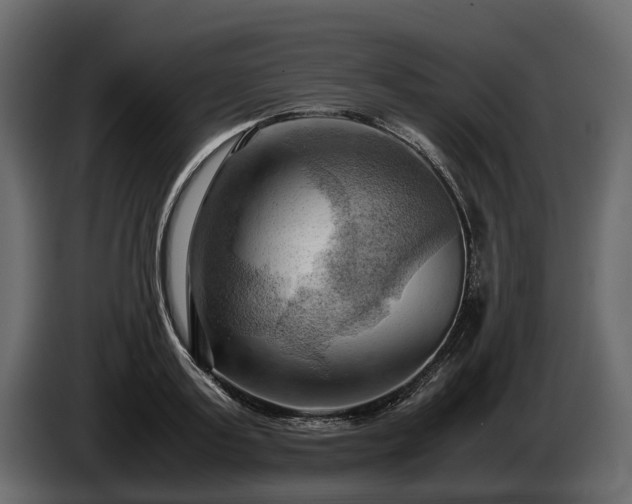 X0000085740795200703231109