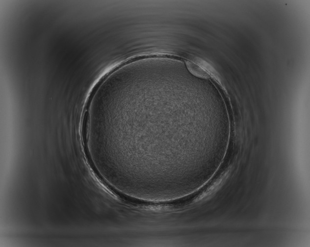 X0000085740797200703231109