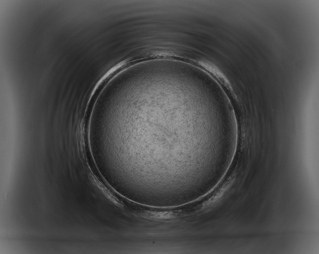 X0000085740798200703231109