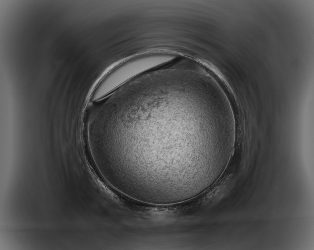 X0000085740799200703231109