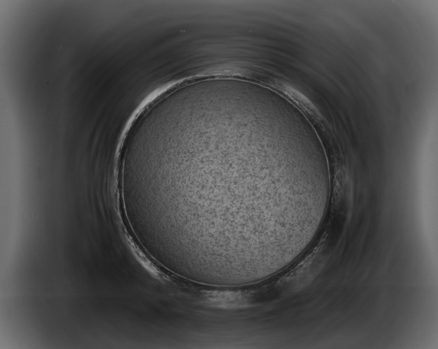 X0000085740800200703231109