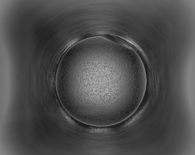 X0000085740801200703231109