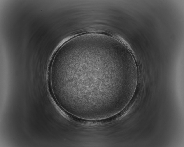 X0000085740803200703231109