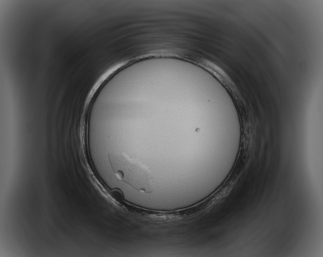 X0000085740804200703231109