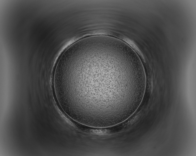 X0000085740805200703231109