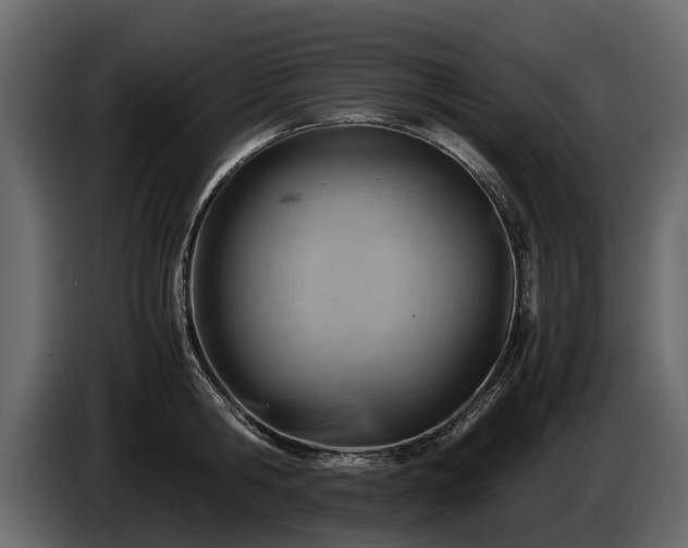 X0000085740806200703231109