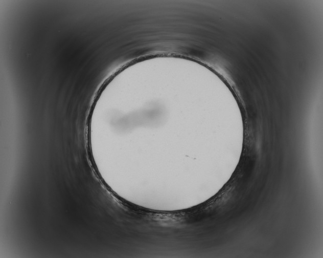 X0000085740807200703231109