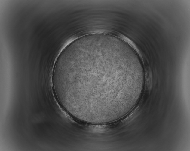 X0000085740810200703231109