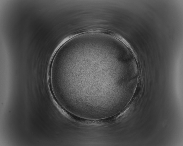 X0000085740811200703231109