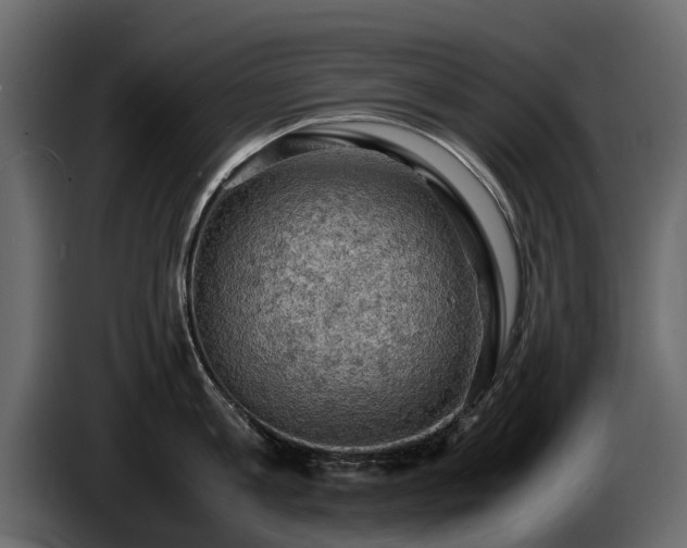 X0000085740813200703231109
