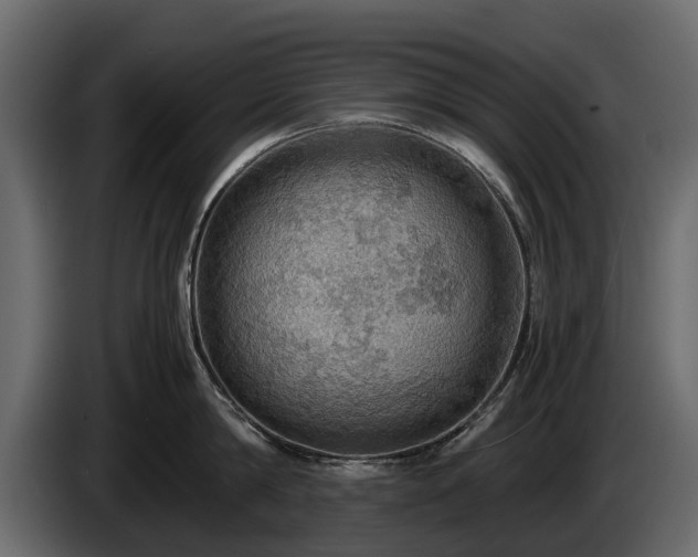 X0000085740814200703231109