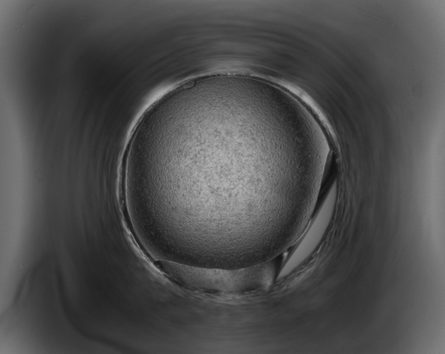 X0000085740815200703231109