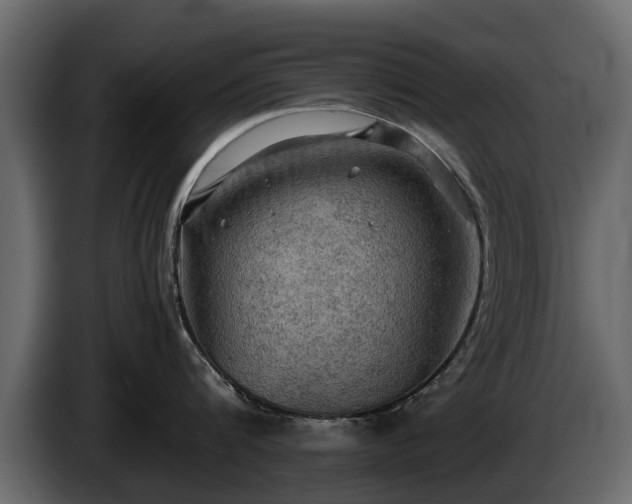 X0000085740816200703231109