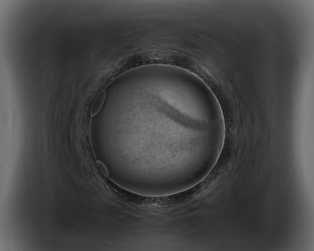 X0000085740817200703231108