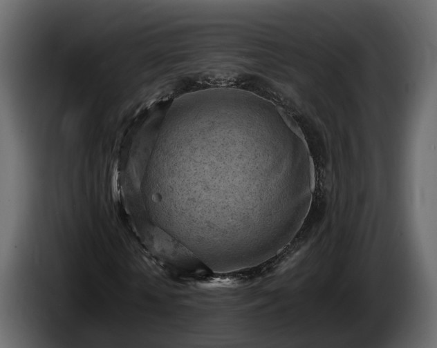 X0000085740818200703231108