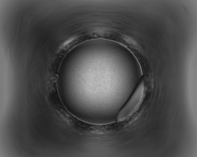 X0000085740822200703231108