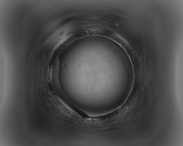 X0000085740823200703231108