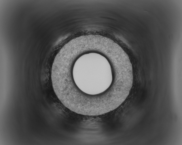 X0000085740824200703231108