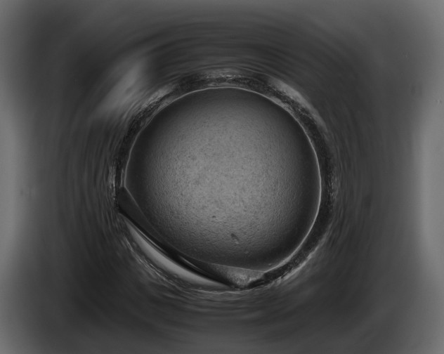 X0000085740825200703231108