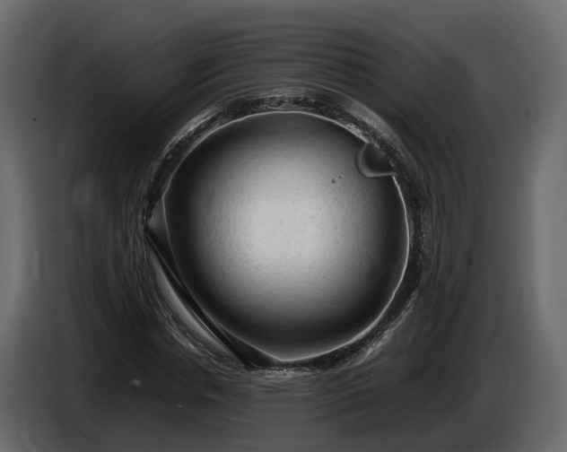 X0000085740826200703231108