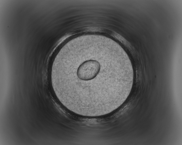 X0000085740828200703231108