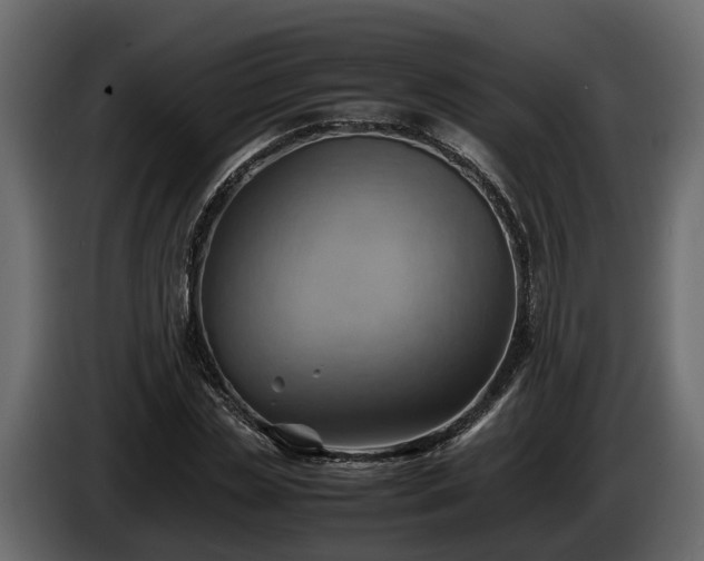 X0000085740829200703231108