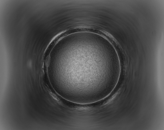 X0000085740830200703231108