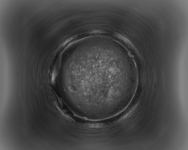 X0000085740833200703231108