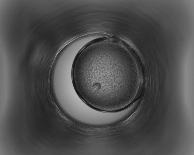X0000085740834200703231108