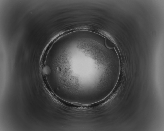 X0000085740835200703231108